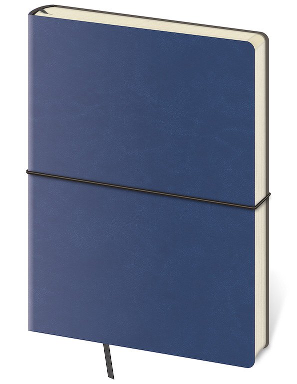 Notizbücher - Notizbuch Flexio L punkraster Blue