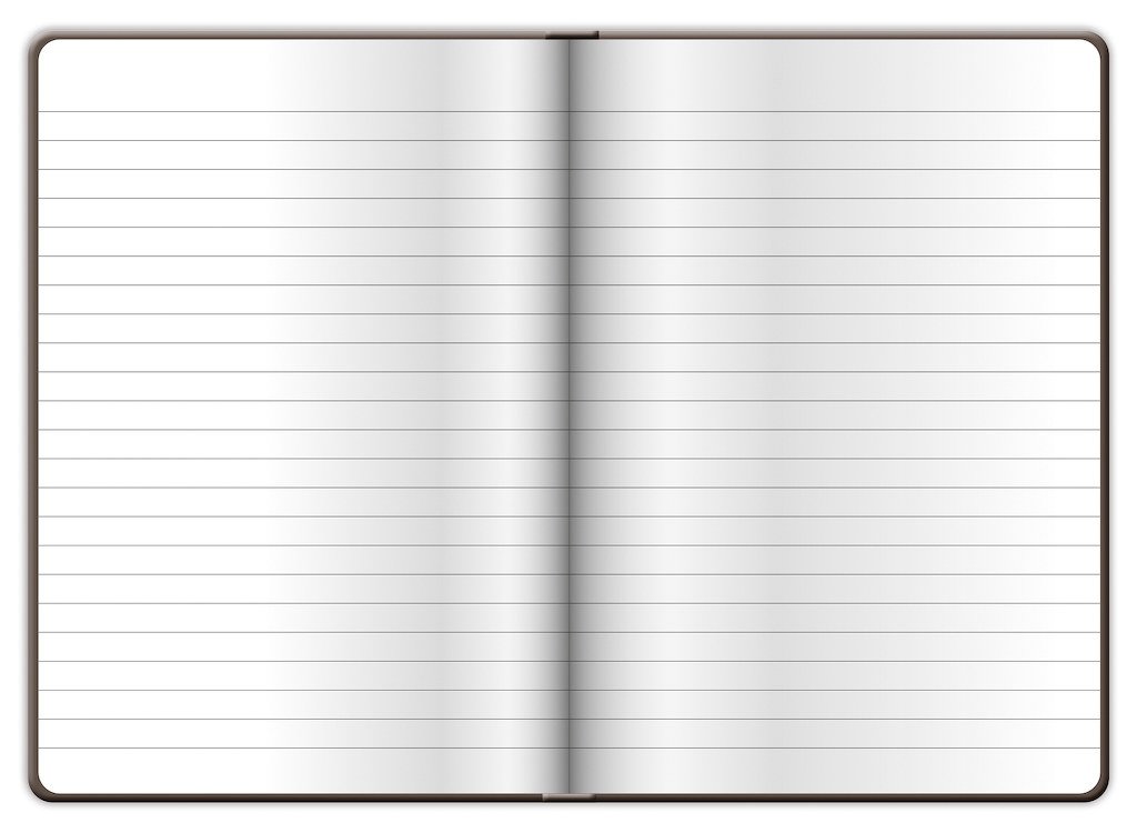 Vario - Notizbuch Vario L liniert - Feathers