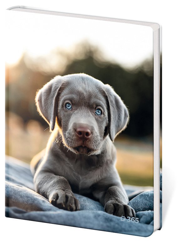 Notizbücher - Notizbuch für Kinder - Pup